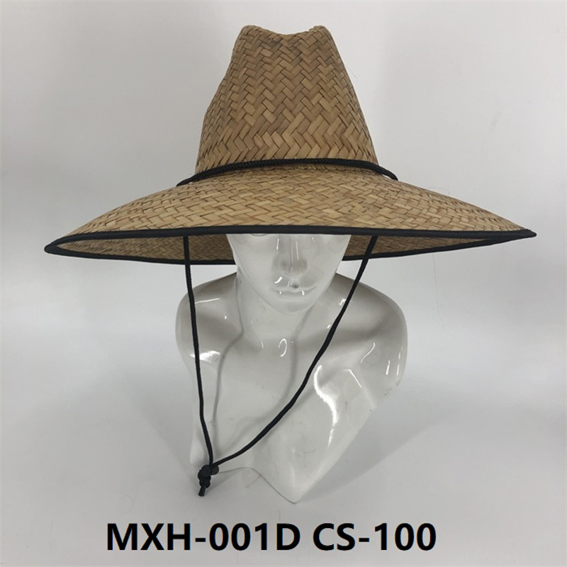 MXH-001D CS-100